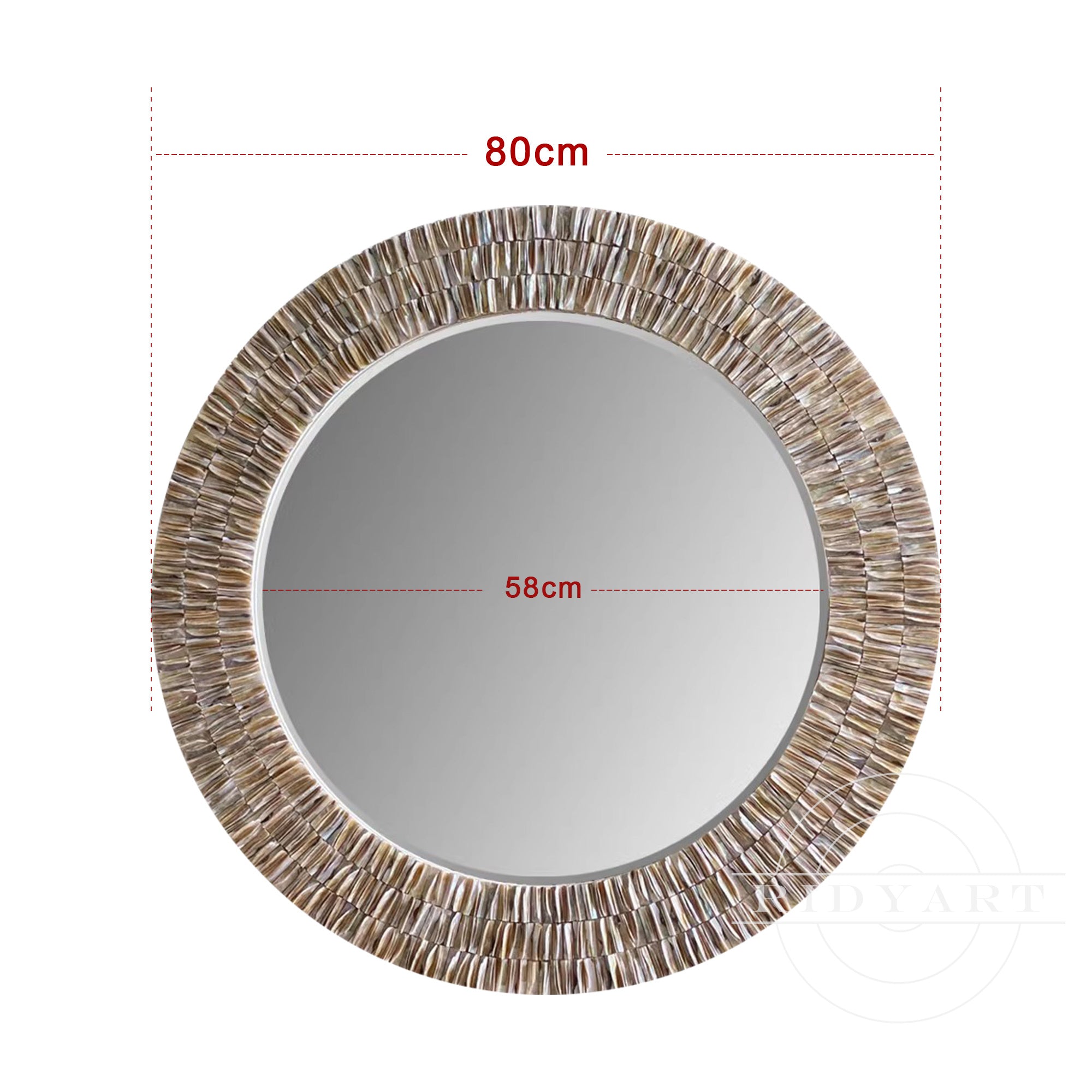 Round shells Mirror decor