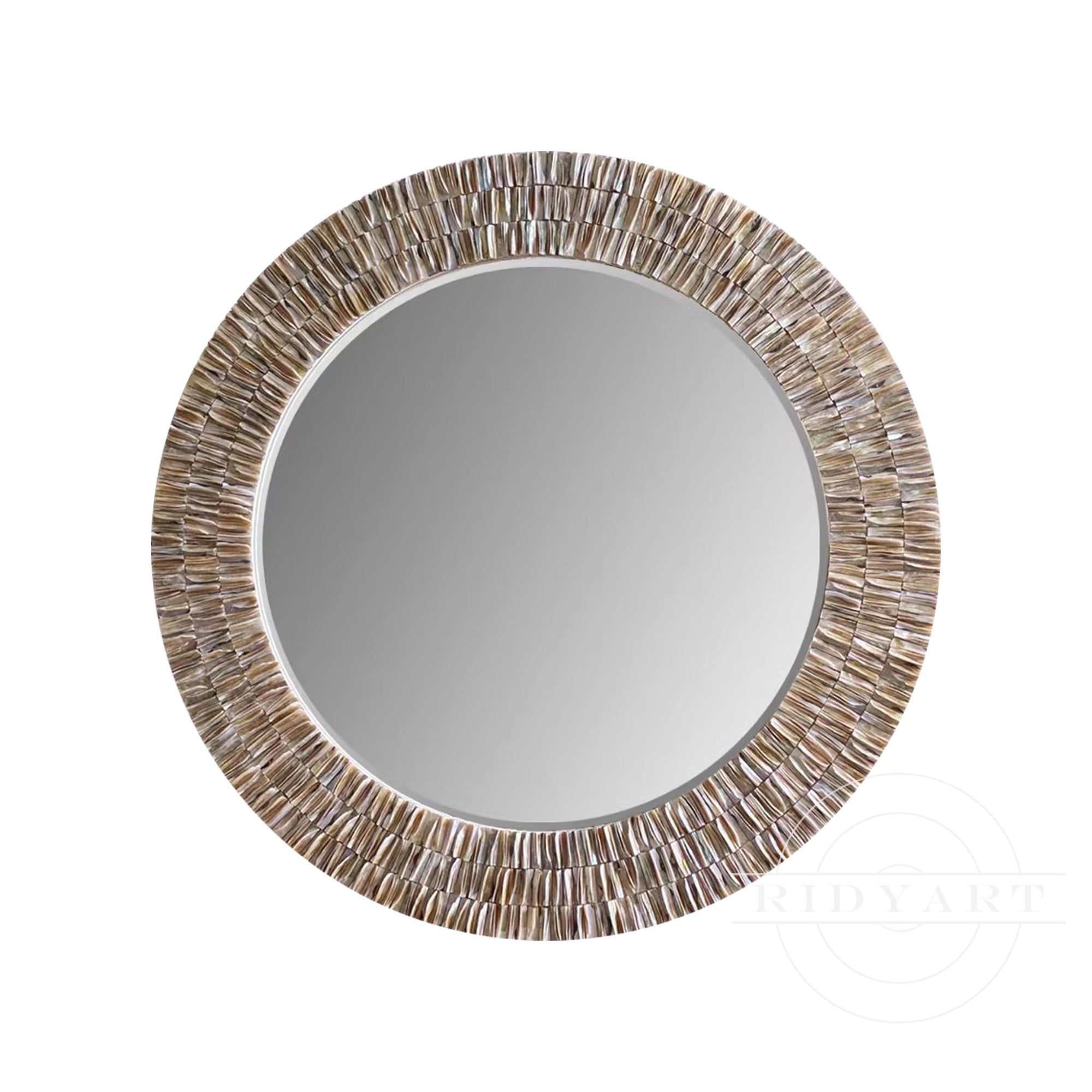 Round shells Mirror decor