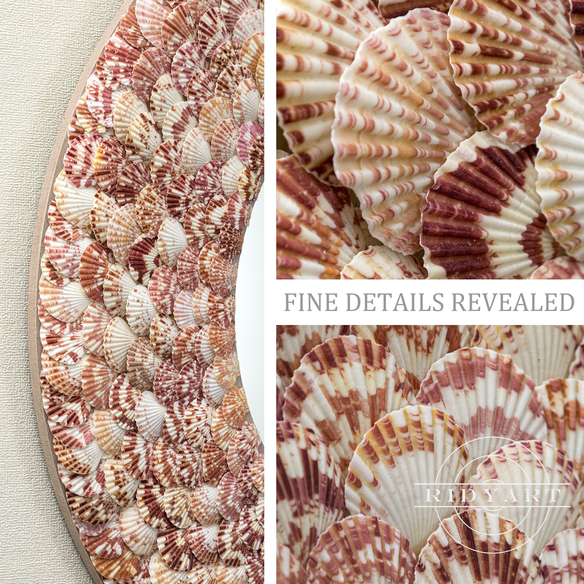 Shells mirror_05